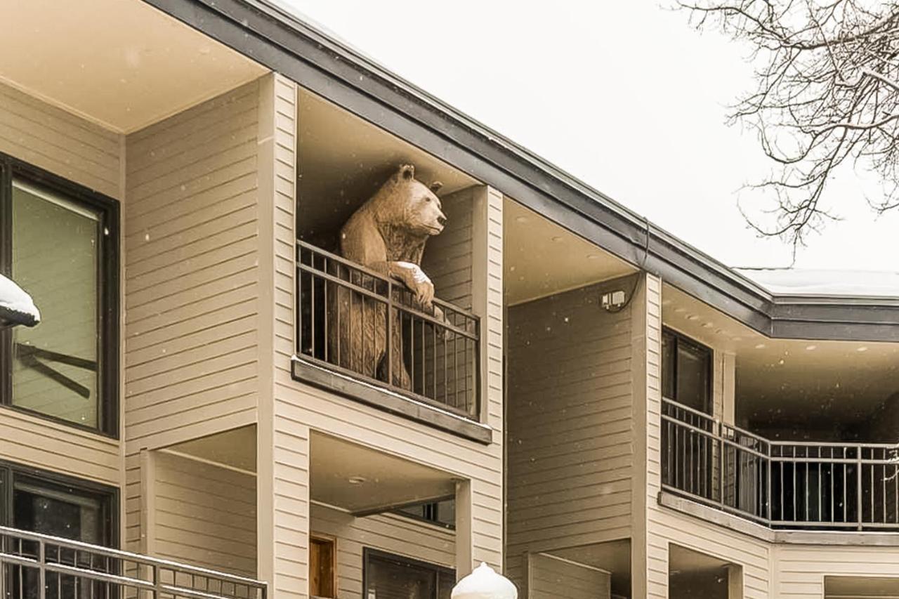 Apartmán Cimarron Mountain Retreat Telluride Exteriér fotografie